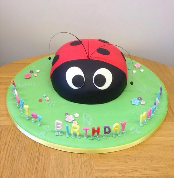 Lady Bird Cake 🐞