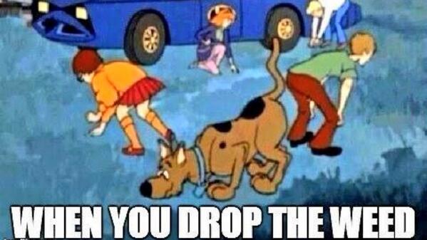 stillblazingtho's tweet image. 