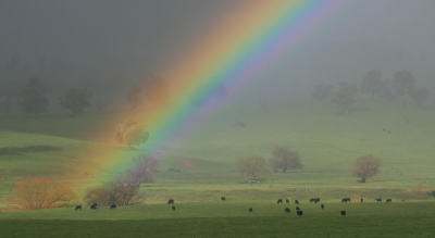 ElmCottageTumut's tweet photo. Beautiful day yesterday after the rain cleared... http://t.co/pliXDCKM0B