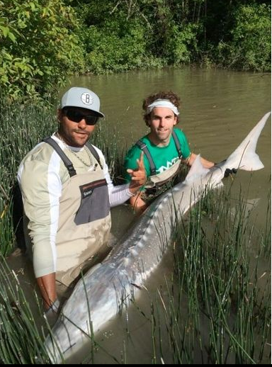 BetAlytics on X: Dustin Byfuglien and Andrew Ladd landed an absolute  monstrous sturgeon. #Jets  / X