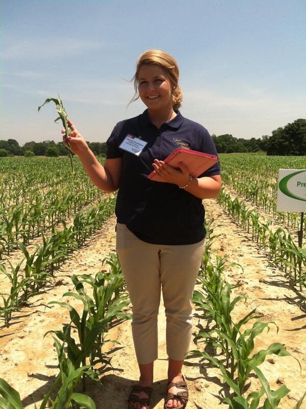 ddadams's tweet photo. picking a sample for photo-op demo = natural variability in research plot #nataa14 #cornfused http://t.co/AIfKuMqz0w