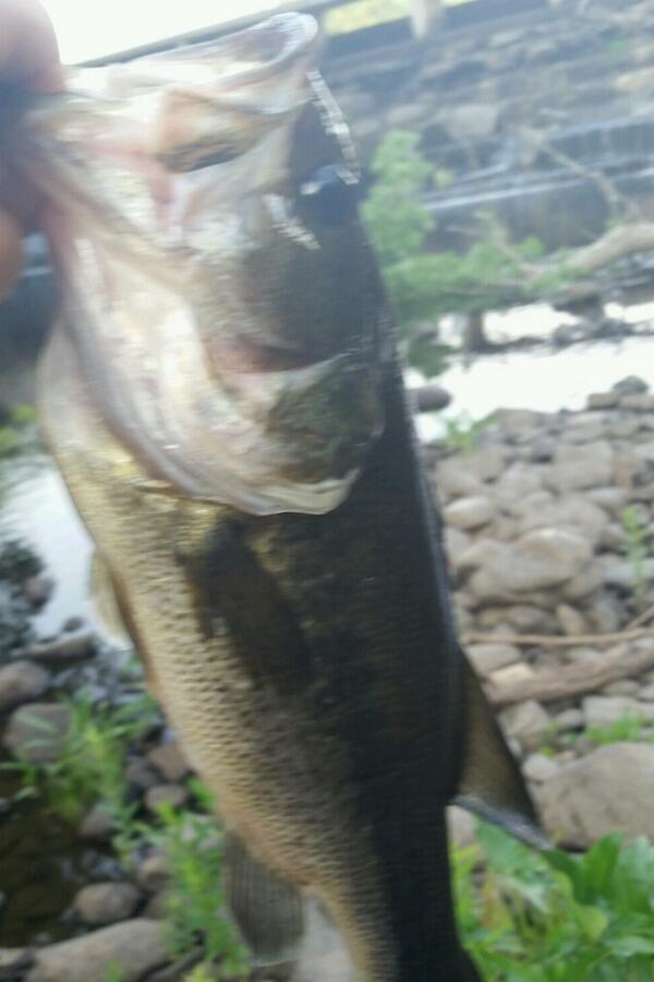 ThompsonAnglers tweet picture