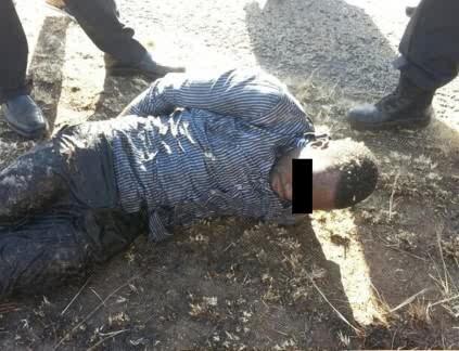 Lybirnith's tweet image. Equestrian unit traces armed robber in Bonaero Park wetland | Kempton Express kemptonexpress.co.za/36577/equestri…