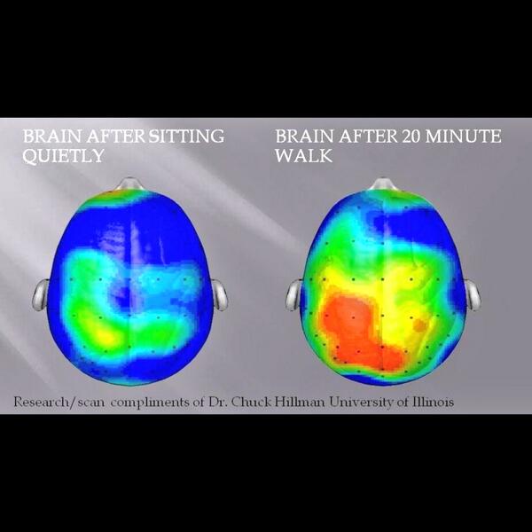 VeerleVerstraet's tweet image. Viva #GCC!
Keep on walking, cycling, swimming! #fitforthejob #swarovskicareers #swarovski