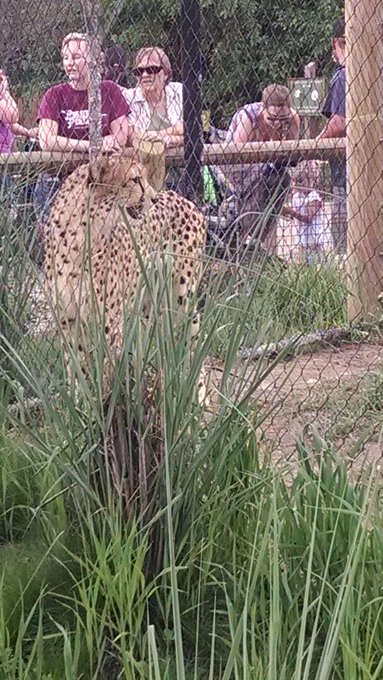 So cool. http://t.co/jcnF4PHdzk<a href="/tag/yea"class="tags"><span>#yea</span></a>