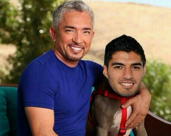 _luis16suarez_'s tweet photo. Ya he encontrado el remedio para mi agresividad. http://t.co/2FfWZ36ih2