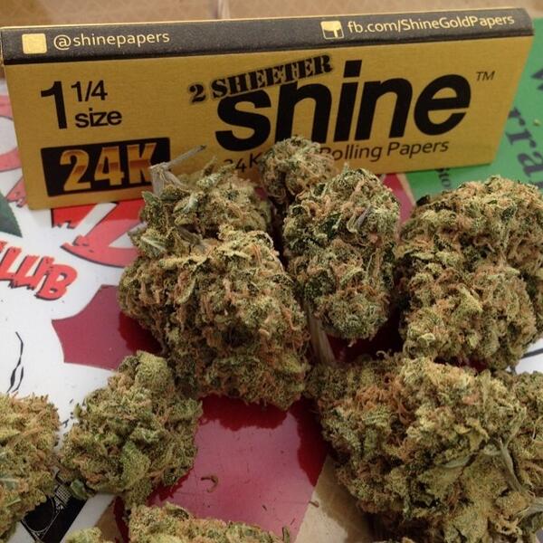 ShinePapers's tweet image. "Shining bright today ☀️💎 Hope everyone has a first class Wednesday ✈️ Fly High my friends! 👻💨 #GetGhostCo #Shine...