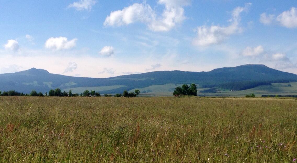 Permalien de l'image intégrée