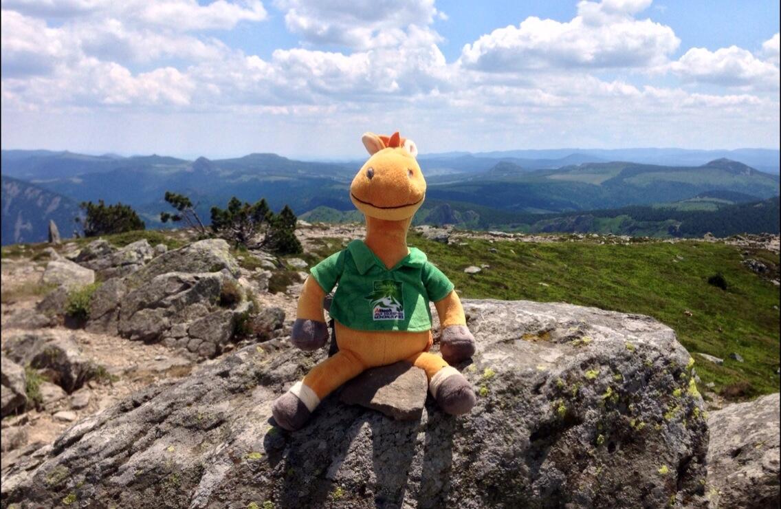 Permalien de l'image intégrée