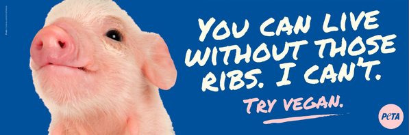 peta tweet picture