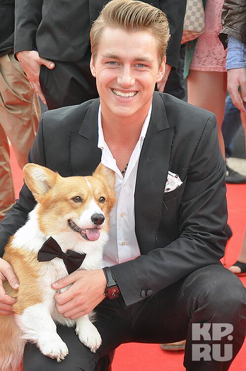 собака алексея воробьева элвис. собака алексея воробьева элвис. серебряков и его собаки. элвис корги воробьева. у алексея пять собак.