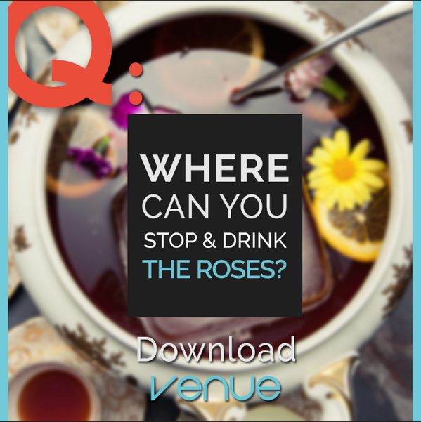 VenueToronto tweet picture