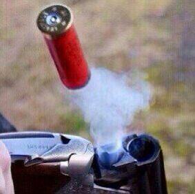 فحل تبوك0533592270 (@dfdggdreereee) on Twitter photo 