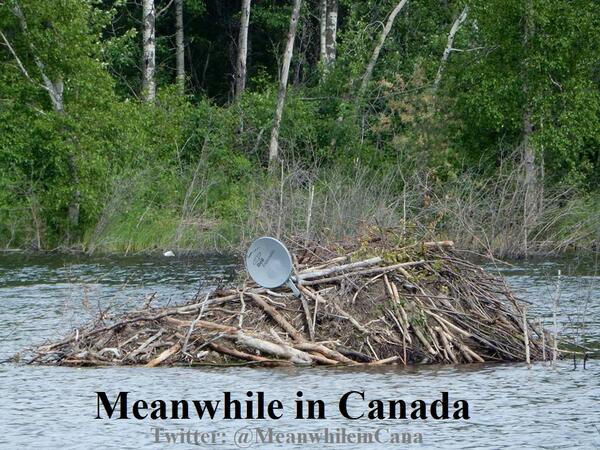 Beaver Lodge, complete with satellite dish in southern Saskatchewan. #MeanwhileinCanada