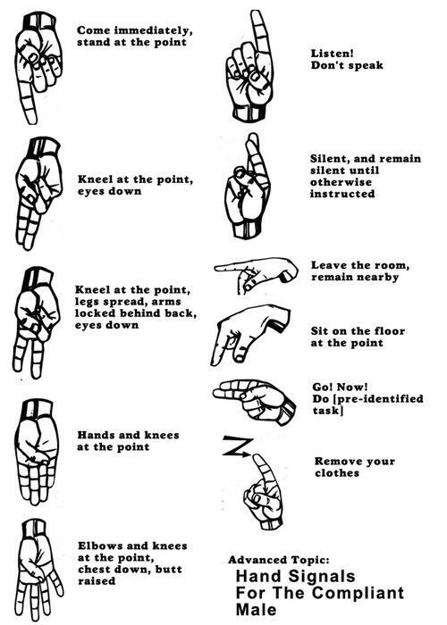 Femdom Empire On Twitter Hand Signals For The Compliant Male