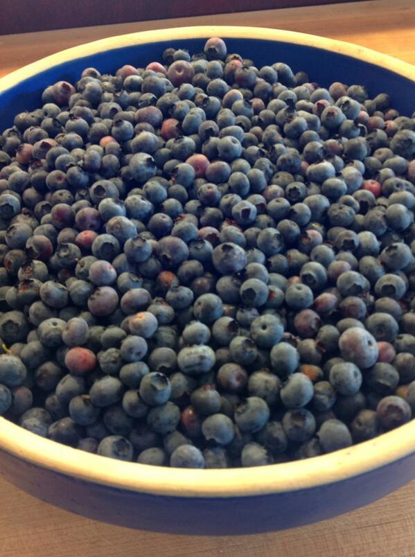 Joshua Moore tweet media