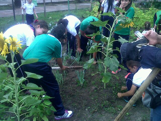 Enlace permanente de imagen incrustada