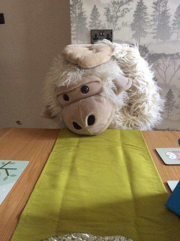 paula_booth's tweet photo. This guy is still looking for a home @Youngy7 @nealebrown67  @obolton23 he's feeling unloved http://t.co/sH4GwSbhKf