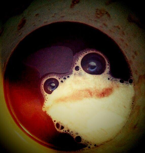 SandlanceAsylum tweet picture