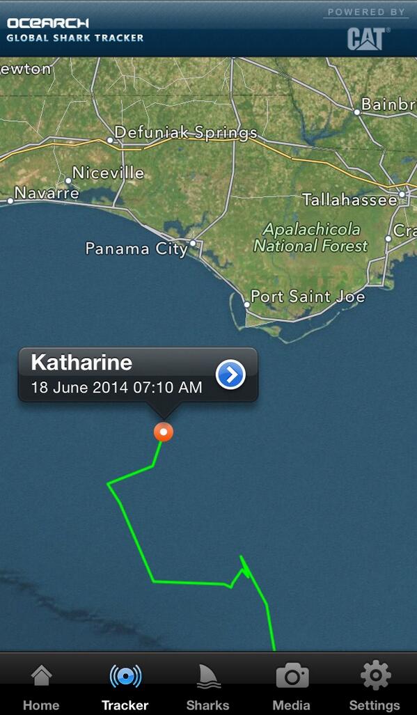 “<a href="/OCEARCH/">OCEARCH</a>: 14ft+ GWS <a href="/Shark_Katharine/">Katharine The Shark</a> pings NE toward <a href="/PCBeach/">VisitPanamaCityBeach</a>! bit.ly/19EQYyp ” Watch out <a href="/bolt_house/">Bolt House Textiles</a>!!