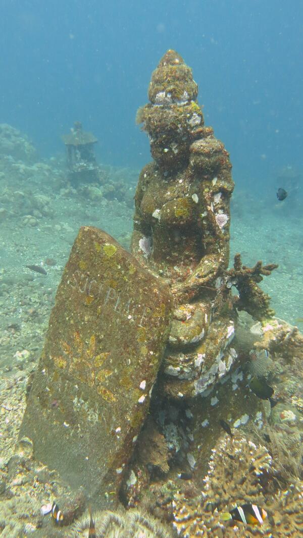 JamesDive's tweet photo. 2013-12-15 in Tulamben Bali http://t.co/A5bbYgm8rr