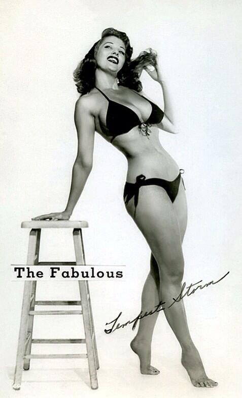 TW Pornstars - Ms. Redd. Twitter. RT @RealTempest: Happy Hump Day!!. 12:56 PM - 18 Jun 2014