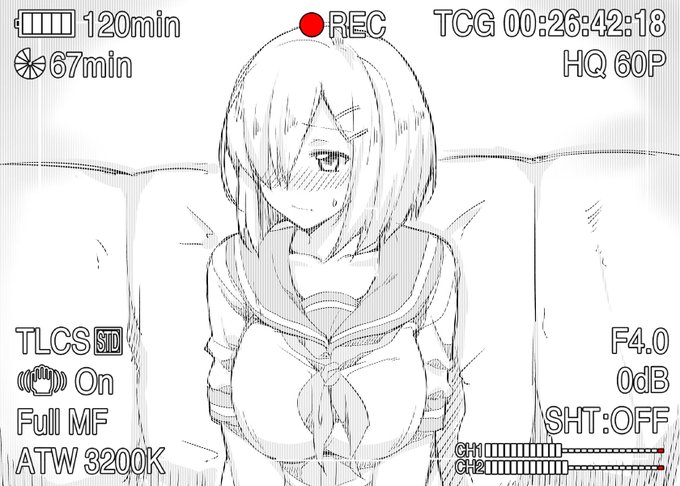 提督:入隊記録始めます、まずスリーサイズを言ってください。 