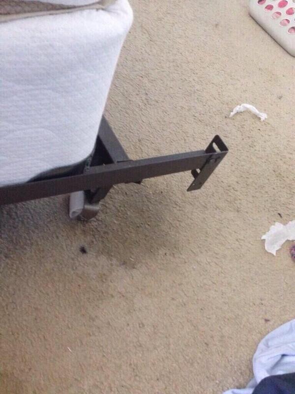 DamnHiIarious's tweet image. The worlds most deadly weapon