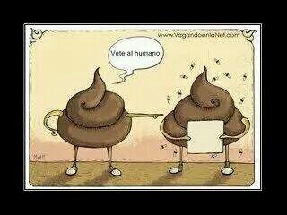 lidia pacay tweet media