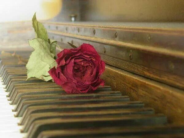 Романс пианино. Розы на фортепиано. Цветы на пианино. Розы на рояле.