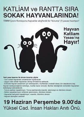 DirenenHayvan's tweet photo. Yarın (19 haziran) 9:00 ANKARA, Hayvan katliam yasasını protesto eylemi var.. Katılımınız ve duyurmanız cok onemli! http://t.co/emVunahC2c