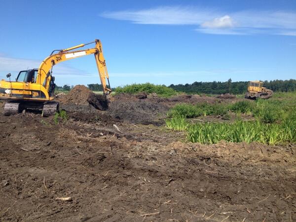 Ir plāns rudenī šeit augt kviešiem!