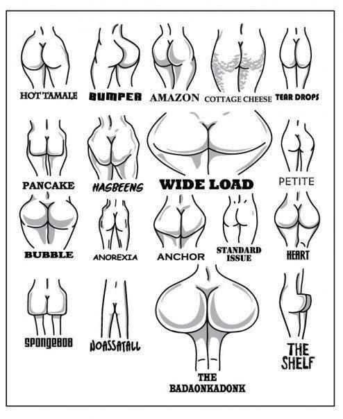 Here is you guide to backsides. #funny #badaonkadonk