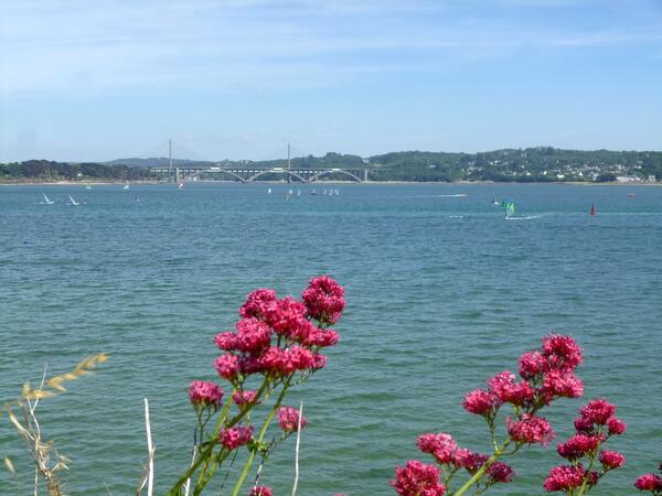 HtelKyriadBrest's tweet photo. Une de nos réceptionnistes a pris cette sublime photo aujourd'hui ! #PortdePlaisance #Brest #Bretagne http://t.co/l7nA8QhDL2
