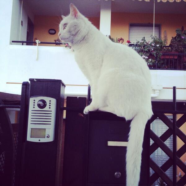 @PapaCagliazzu ... Del tipo: ti sembra ora di rincasare???