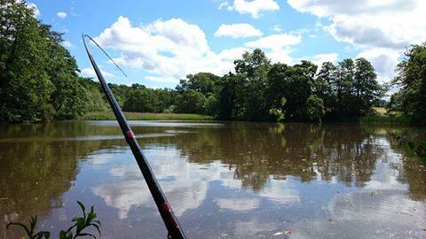 Turnmill Pool White Swan Fishing (@wspfishing) / Posts / X