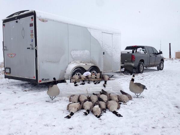 Jerdevries's tweet image. Cpl picks from staff member Derek Bejerano! Love the @foilesmigrators calls! Wouldn't leave home without em!