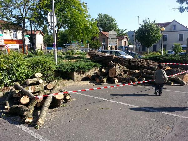 RachelBorez's tweet photo. Ce monumentale arbre a été tué #ecoledubourg. Est ce normal et surtout légal? @Alain_Amedro http://t.co/OquBo3xirc