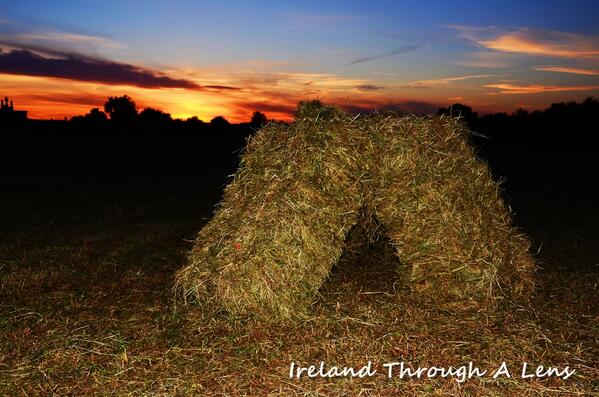 Alan Noonan Photo tweet media