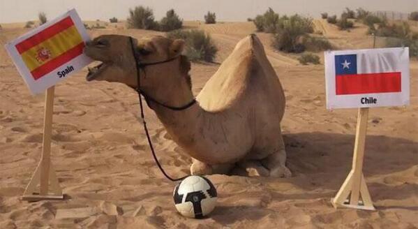 Embedded image permalink