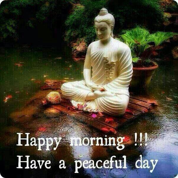 Jyoti Punjabi Ef On Twitter Kalayadav3 Good Morning Wish You A
