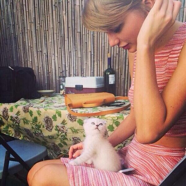 tay_nina_1213's tweet photo. Swift familyに新しい家族✨早くMeredithとOliviaちゃんが一緒に写ってる写真見たい😊💓 http://t.co/AailyaHaKC