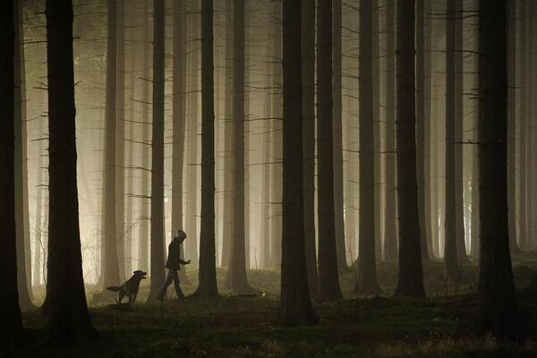 Gabriele_Corno's tweet image. Walking without guard by Sebastian Luczywo #inspiration