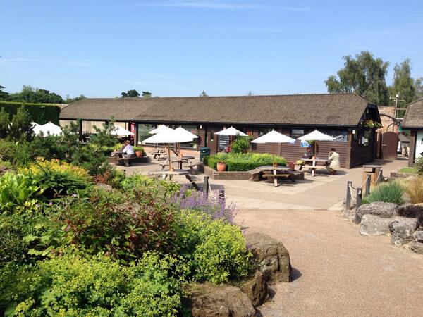 Revol_U_tion's tweet image. Beautiful day here at Groundwork South's Tilgate Park Walled Garden Community Cafe...