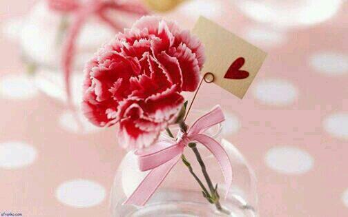 dalla95's tweet photo. http://t.co/AoEqddAm4u