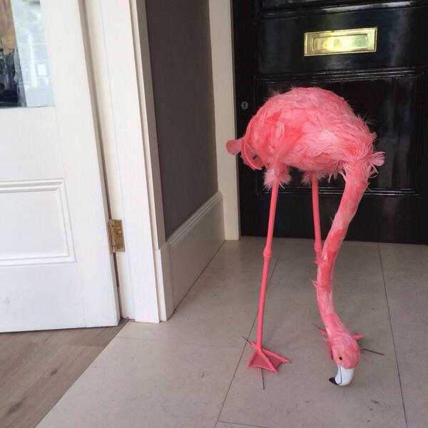 dundaslondon's tweet image. Thank you Fabian. Where would we be without you at the door? #flamingofun #JuneLaunch