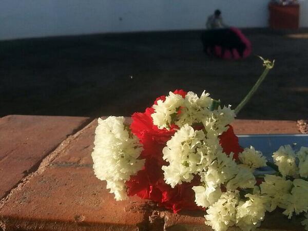 AParedesA tweet picture