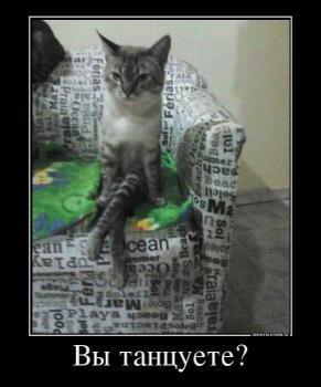 Взаимный Фолловинг (@follover_i_am) on Twitter photo 