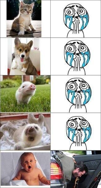 evfidripiy's tweet image. 