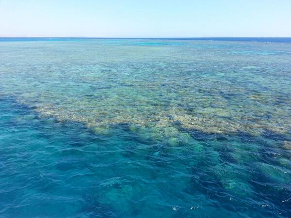 buckers01's tweet photo. Few pics from Marsa Shagra - such a wonderful place :) http://t.co/pr2R0bbY8L
